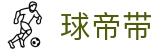 球帝带官网 - 专业足球资讯、数据分析与球迷社区